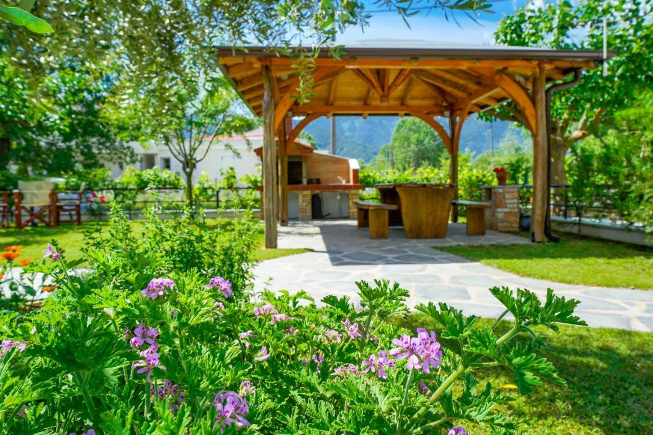 Studios Anemos Chrysi Ammoudia ภายนอก รูปภาพ